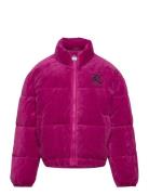 Juicy Velour Puffa Fôret Jakke Purple Juicy Couture