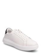 Low Top Lace Up Lth Lave Sneakers Multi/patterned Calvin Klein