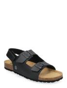 Frankie Shoes Summer Shoes Sandals Black Axelda