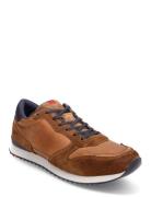 Earland Lave Sneakers Brown Lloyd