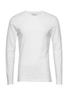 Long Sleeve Slim Tops T-shirts Long-sleeved White Bread & Boxers