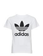 Trefoil Tee Tops T-shirts Short-sleeved White Adidas Originals