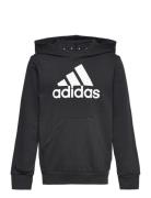 Lk Bl Ft Hd Sport Sweat-shirts & Hoodies Hoodies Black Adidas Performa...