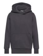 Printed Hoody Tops Sweat-shirts & Hoodies Hoodies Grey Tom Tailor