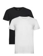 C-Neck T-Shirt 2-Pack Tops T-shirts Short-sleeved Multi/patterned GANT