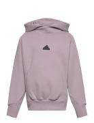 J Z.n.e. Hd Sport Sweat-shirts & Hoodies Hoodies Purple Adidas Perform...