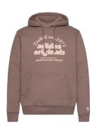 Grf Hoodie Sport Sweat-shirts & Hoodies Hoodies Brown Adidas Originals