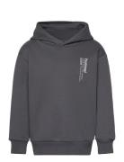 Hmldante Hoodie Sport Sweat-shirts & Hoodies Hoodies Grey Hummel