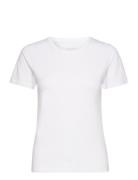 Women's O-Neck Tee Tops T-shirts & Tops Short-sleeved White NORVIG