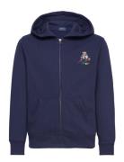 Polo Bear Fleece Full-Zip Hoodie Tops Sweat-shirts & Hoodies Hoodies N...