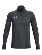 Ua M's Ch. Midlayer Sport Sweat-shirts & Hoodies Sweat-shirts Grey Und...