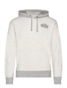 Hco. Guys Sweatshirts Tops Sweat-shirts & Hoodies Hoodies Grey Hollist...