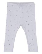 Leggings Rib Bottoms Leggings Grey Fixoni