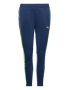 Individualblaze Training Pants Sport Sport Pants Blue PUMA