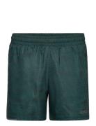 Aero 5 Inch Shorts Sport Shorts Sport Shorts Green 2XU