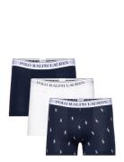 Bci Cotton/Elastane-3Pk-Trn Boksershorts Navy Polo Ralph Lauren Underw...