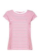 Organic Jersey Stripe Teasy Tee Fav Tops T-shirts & Tops Short-sleeved...