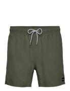 Offset Volley Badeshorts Green Rip Curl