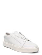 Low Top Lace Up Lth Lave Sneakers White Calvin Klein