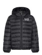 Down Jacket Fôret Jakke Black EA7