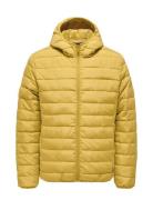 Onsbron Hood Quilt Jacket Otw Vd Fôret Jakke Yellow ONLY & SONS