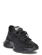 Maxima-R Sneaker Lave Sneakers Black Steve Madden