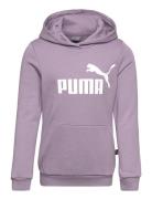 Ess Logo Hoodie Fl G Sport Sweat-shirts & Hoodies Hoodies Purple PUMA