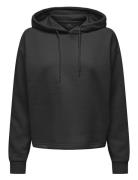 Onpcomfort Ls Brush Hood Swt Tops Sweat-shirts & Hoodies Hoodies Black...