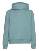 Institutional Regular Hoodie Tops Sweat-shirts & Hoodies Hoodies Blue ...