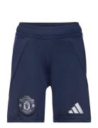 Manchester United Fc A Sho Y Bottoms Shorts Blue Adidas Performance