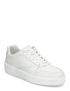 Low Top Lace Up Bskt Lth Lave Sneakers White Calvin Klein