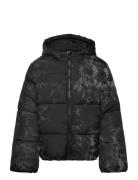 Puffer Jacket Fôret Jakke Black Tom Tailor