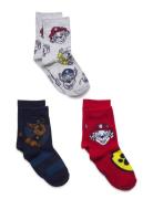 Socks Socks & Tights Socks Multi/patterned Paw Patrol