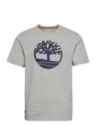 Kennebec River Tree Logo Short Sleeve Tee Medium Grey Heather Tops T-s...