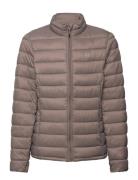 Tepic Jr. Pro-Lite Jacket Fôret Jakke Brown Whistler