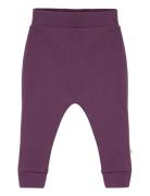 Pants Bottoms Trousers Purple Smallstuff