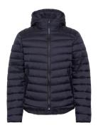 Hooded Fuji Sport Padded Jkt Tynn Jakke Navy Superdry