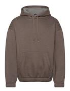 C-Stevens 06 Tops Sweat-shirts & Hoodies Hoodies Brown BOSS