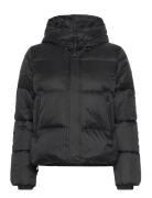 Masella Jkt W Fôret Jakke Black SNOOT