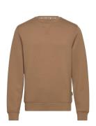 Sweatshirt - Pp Tops Sweat-shirts & Hoodies Sweat-shirts Brown Blend