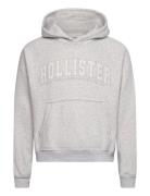 Hco. Guys Sweatshirts Tops Sweat-shirts & Hoodies Hoodies Grey Hollist...