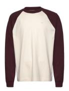 Hco. Guys Knits Tops T-shirts Long-sleeved Cream Hollister