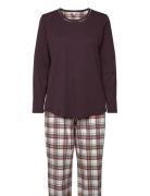 Cotton Flannel Pyjamas Pyjamas Burgundy Lady Avenue