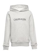 Institutional Logo Hoodie Tops Sweat-shirts & Hoodies Hoodies Grey Cal...