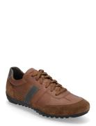 U Wells A Lave Sneakers Brown GEOX