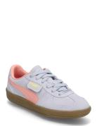 Palermo Jr Sport Sneakers Low-top Sneakers Blue PUMA