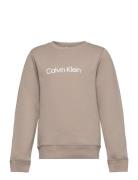 Inst. Logo Regular Cn Tops T-shirts Long-sleeved T-shirts Beige Calvin...