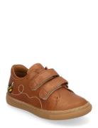 Shoes - Flat - With Velcro Lave Sneakers Brown ANGULUS