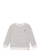 Sweater Stripe Tops Sweat-shirts & Hoodies Sweat-shirts Beige Daily 7