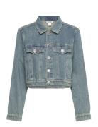 Cropped Denim Jacket Dongerijakke Denimjakke Blue Monki